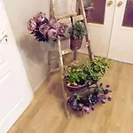 Iris منزل للإقامة *