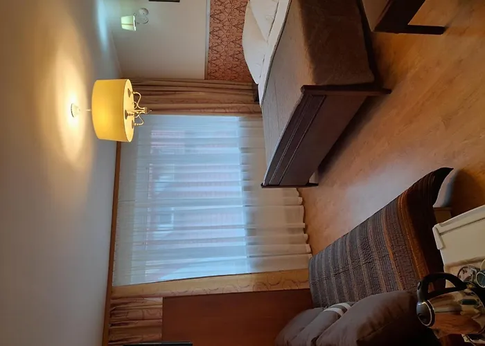 Проживание в семье Iris