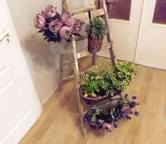 Iris Проживание в семье *